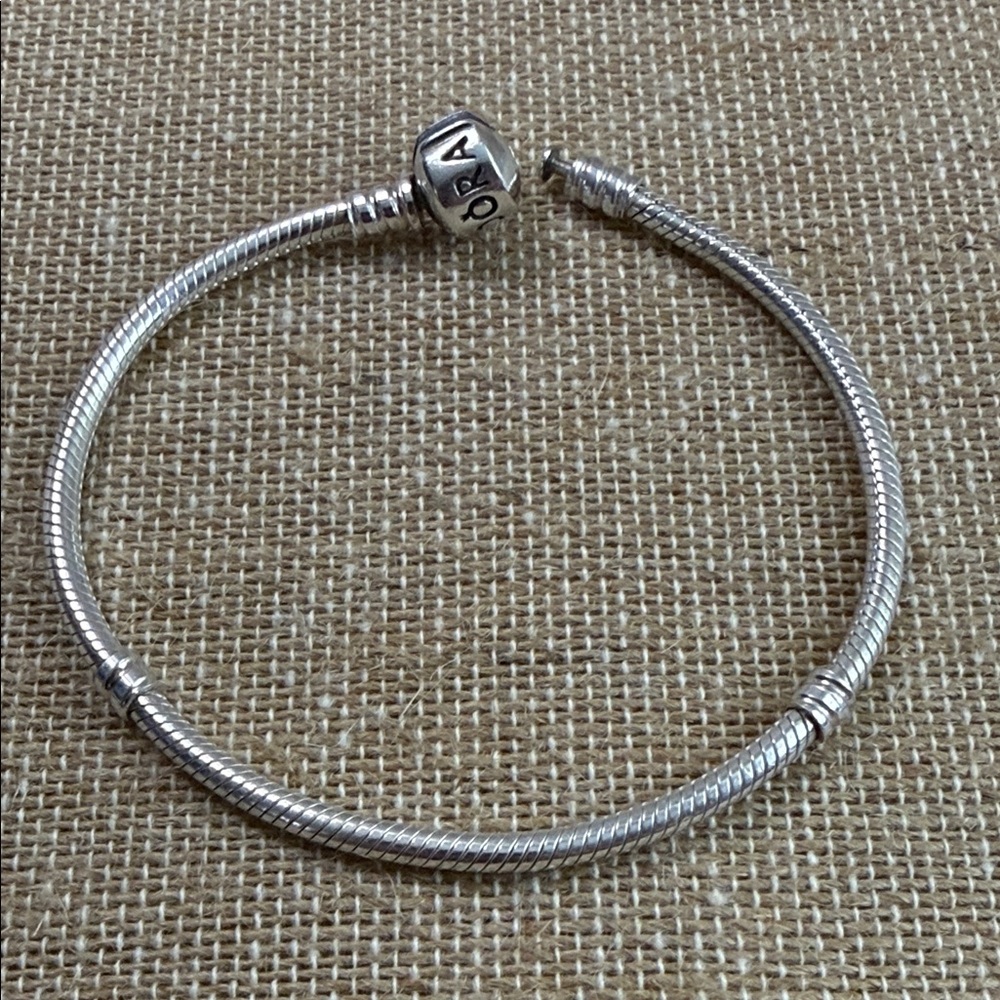Pandora Silver Charm Bracelet